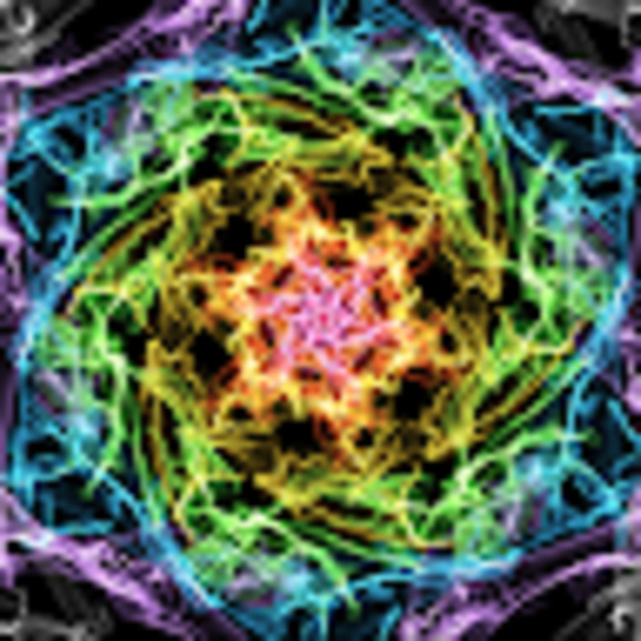 Meet your Posher, Elisabeth - Picture 1 of 1